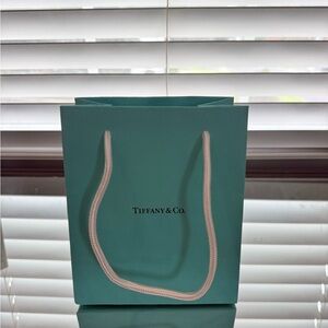 Tiffany & Co. Turquoise Shopping Bag